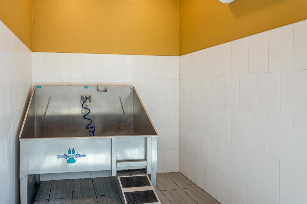 Luxe 3B/2B Getaway - Pool, Gym, Parking, Pet Wash Lägenhet Leander Exteriör bild